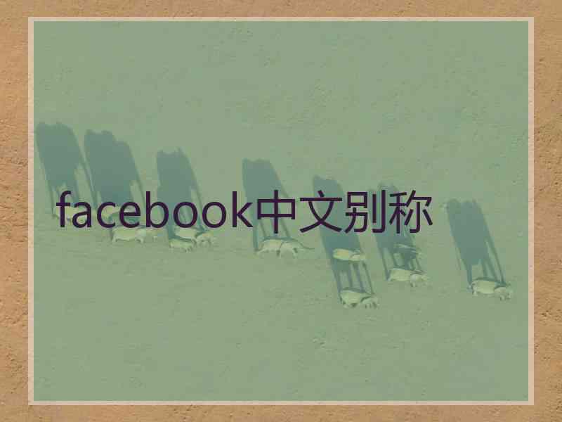 facebook中文别称