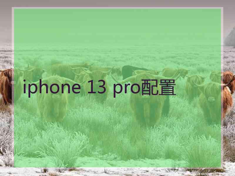 iphone 13 pro配置