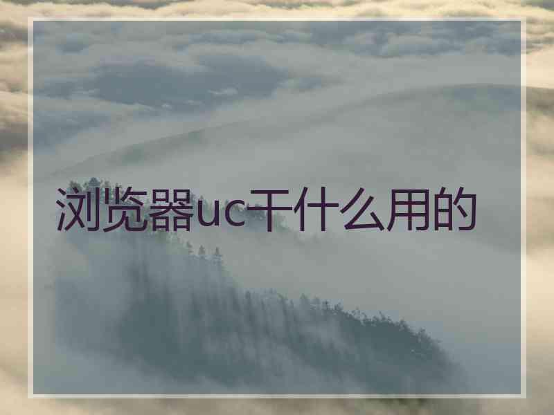 浏览器uc干什么用的