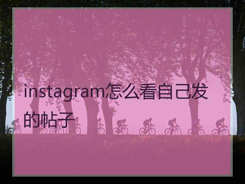 instagram怎么看自己发的帖子