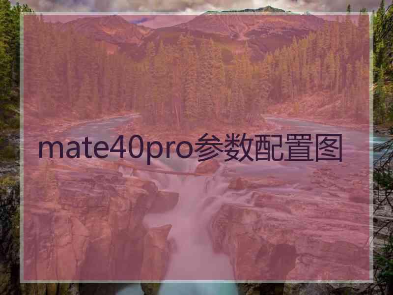 mate40pro参数配置图