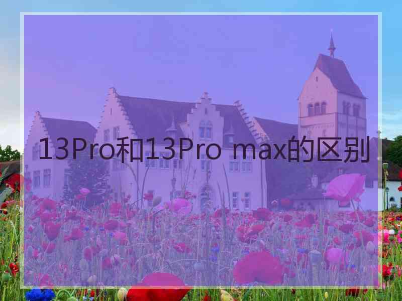 13Pro和13Pro max的区别