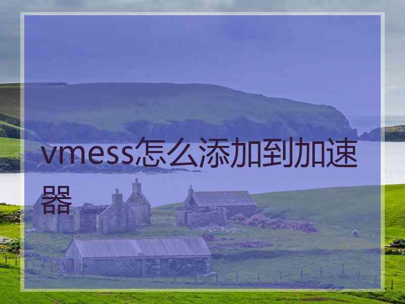 vmess怎么添加到加速器