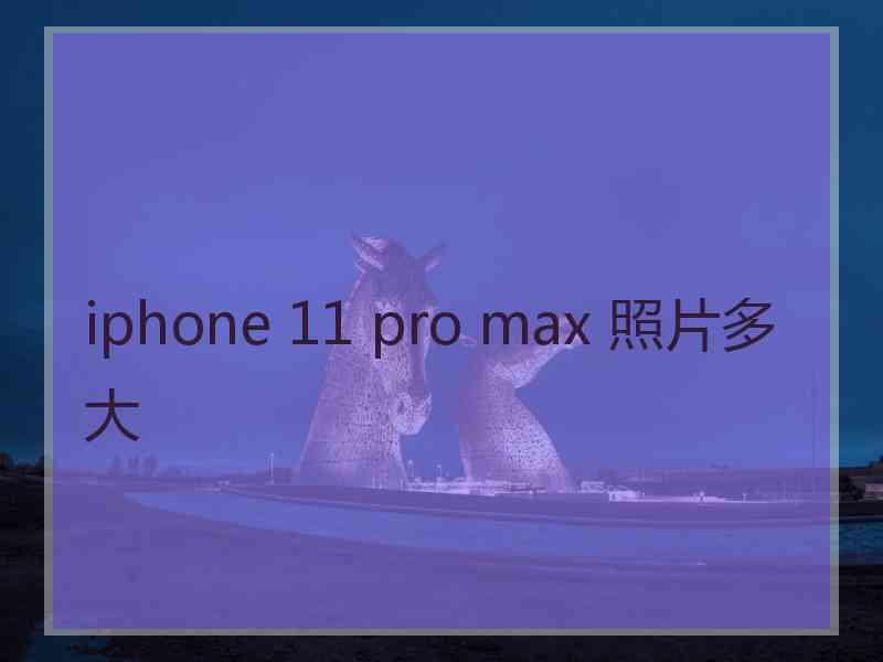 iphone 11 pro max 照片多大