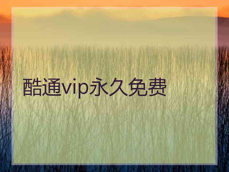 酷通vip永久免费