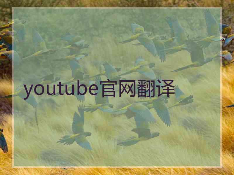 youtube官网翻译