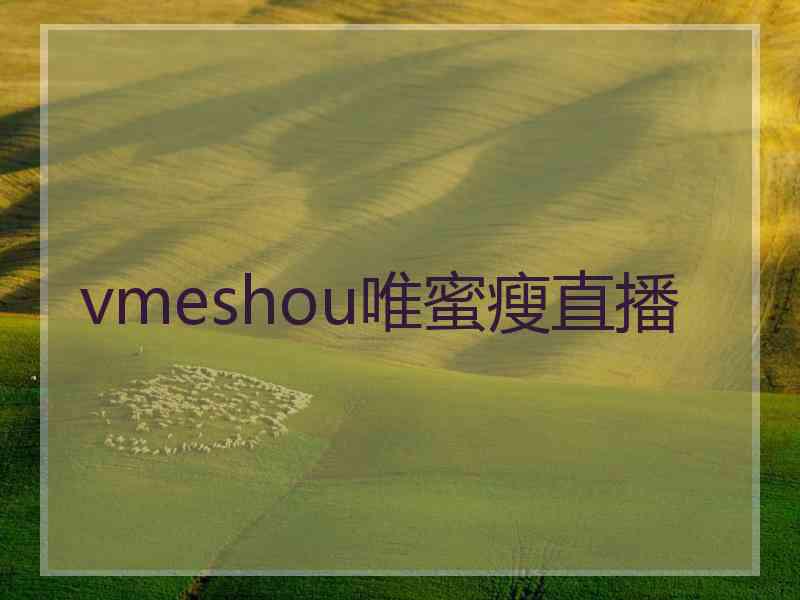 vmeshou唯蜜瘦直播