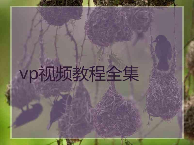 vp视频教程全集