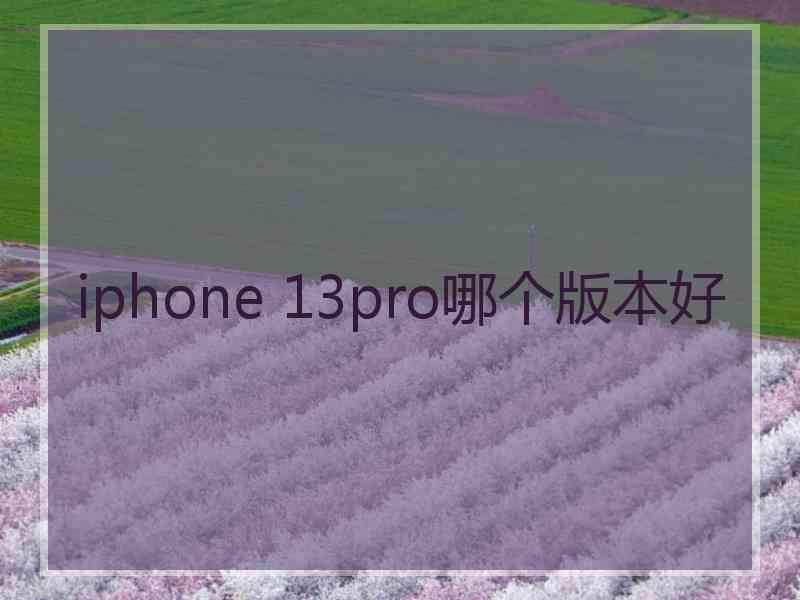 iphone 13pro哪个版本好