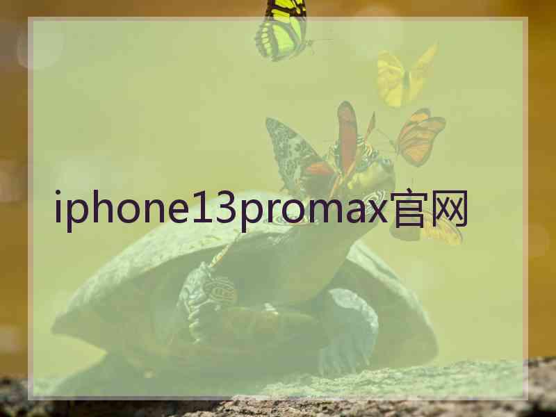 iphone13promax官网