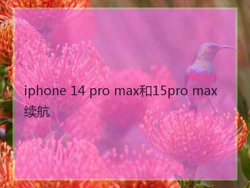 iphone 14 pro max和15pro max续航