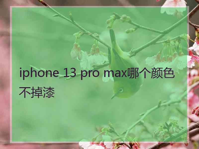 iphone 13 pro max哪个颜色不掉漆