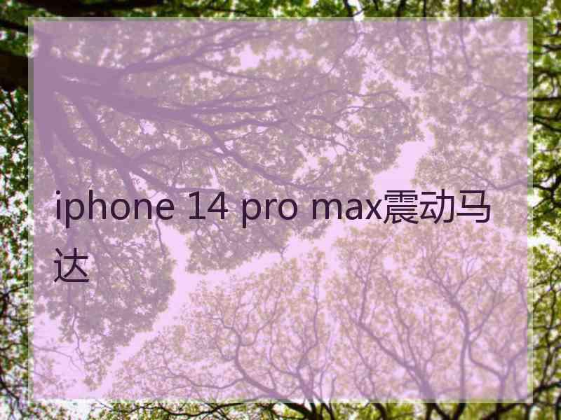 iphone 14 pro max震动马达