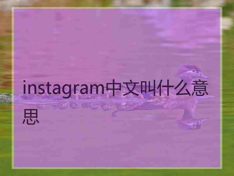 instagram中文叫什么意思