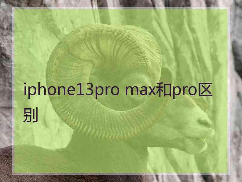 iphone13pro max和pro区别