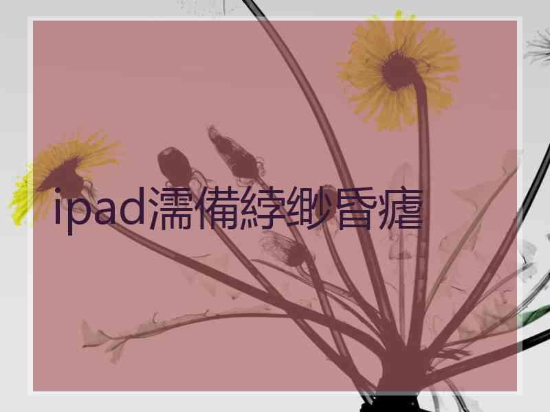 ipad濡備綍缈昏瘧