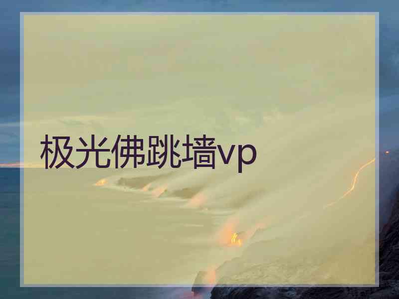 极光佛跳墙vp