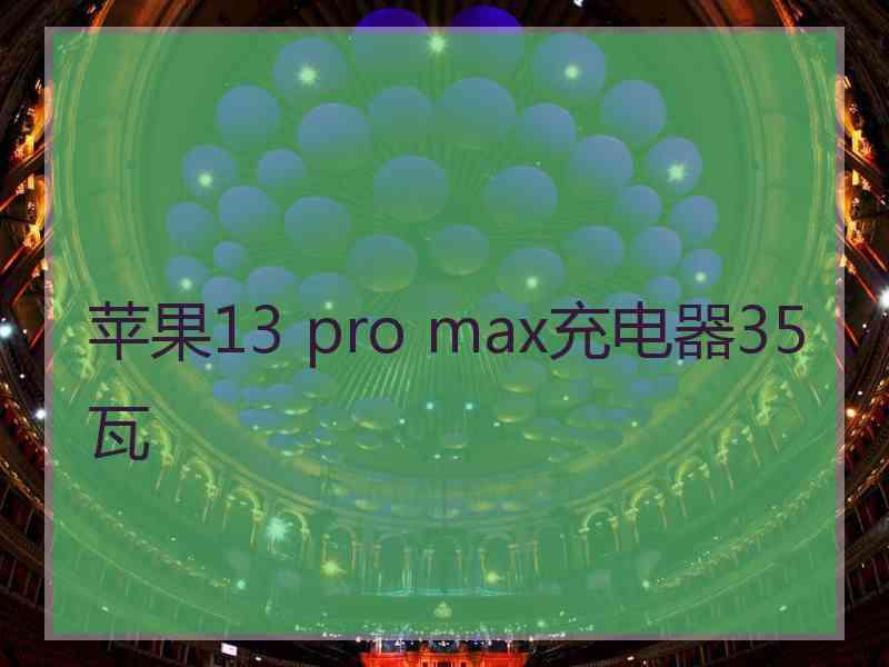 苹果13 pro max充电器35瓦