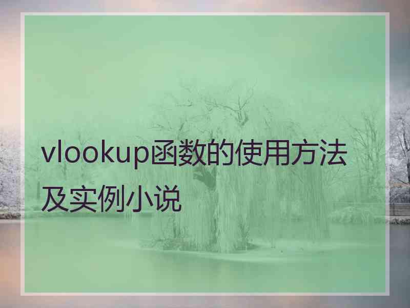 vlookup函数的使用方法及实例小说