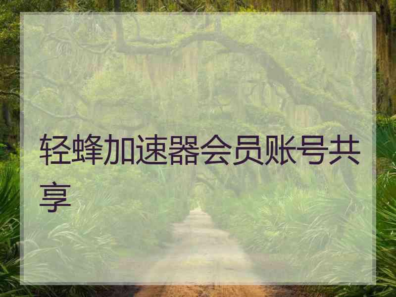 轻蜂加速器会员账号共享