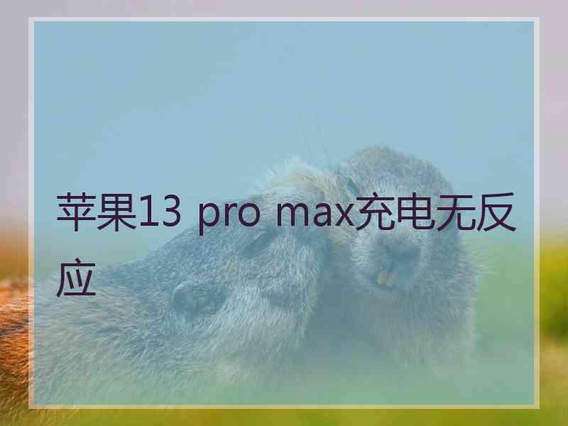 苹果13 pro max充电无反应