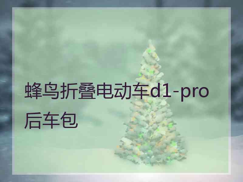 蜂鸟折叠电动车d1-pro后车包