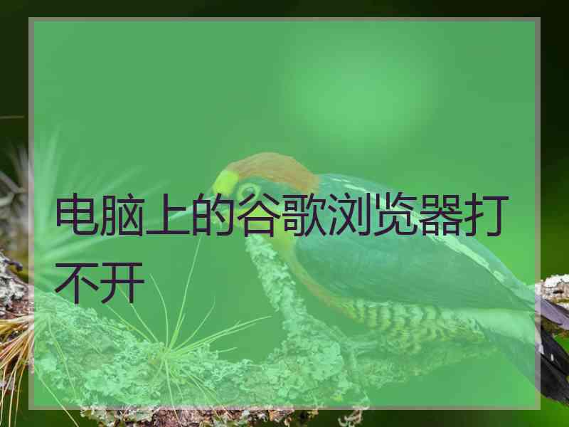 电脑上的谷歌浏览器打不开