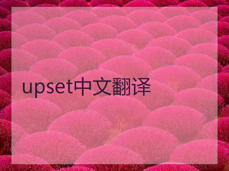 upset中文翻译