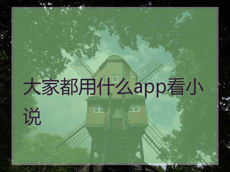 大家都用什么app看小说