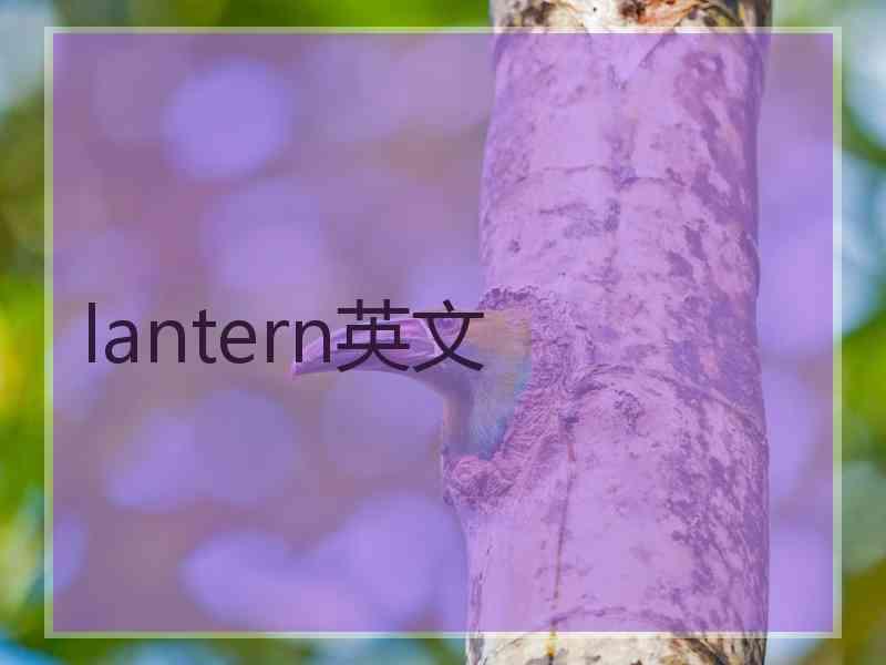 lantern英文