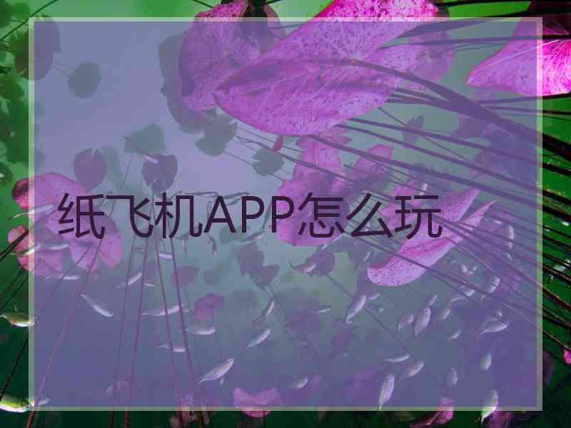 纸飞机APP怎么玩