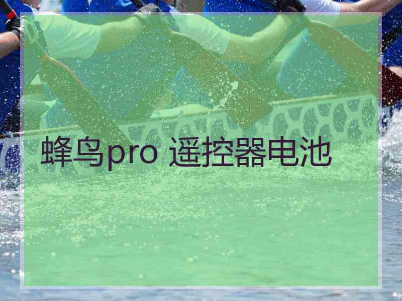 蜂鸟pro 遥控器电池