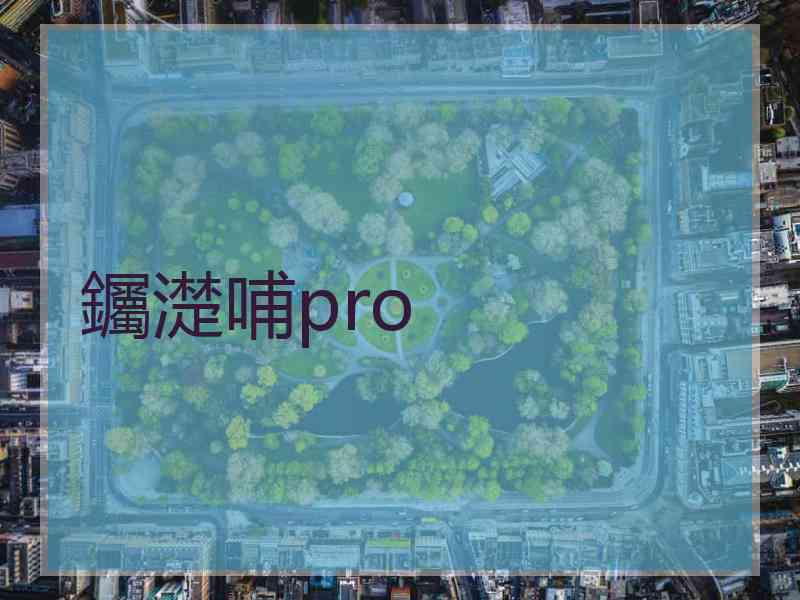 钃濋哺pro