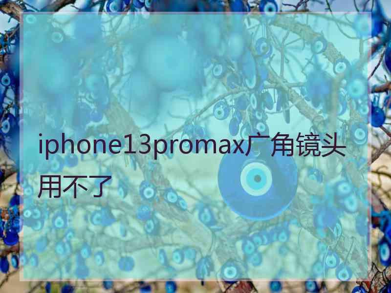 iphone13promax广角镜头用不了