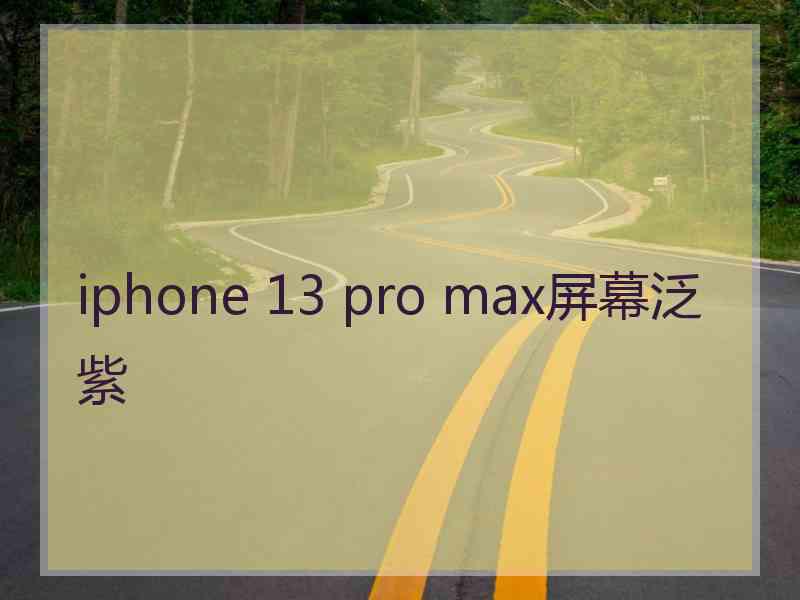 iphone 13 pro max屏幕泛紫