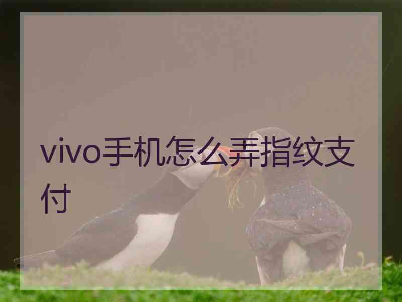 vivo手机怎么弄指纹支付