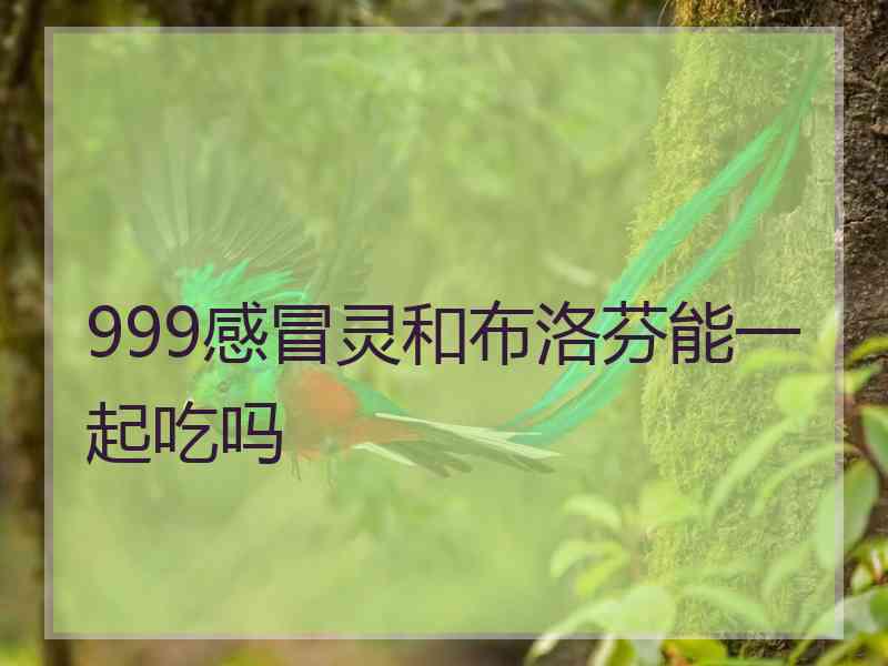 999感冒灵和布洛芬能一起吃吗