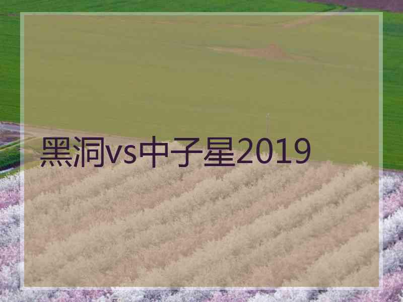 黑洞vs中子星2019