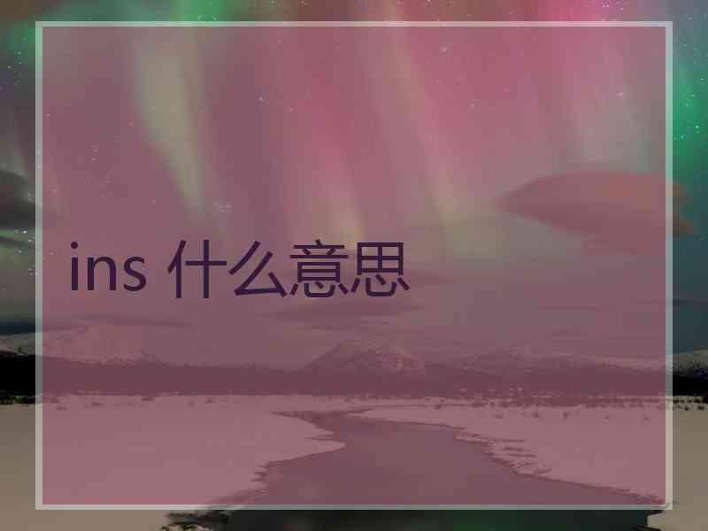 ins 什么意思