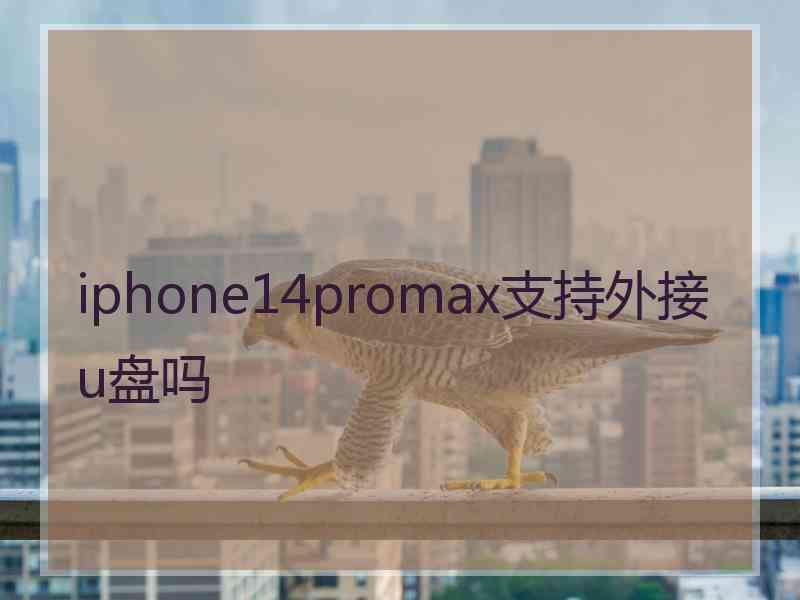 iphone14promax支持外接u盘吗