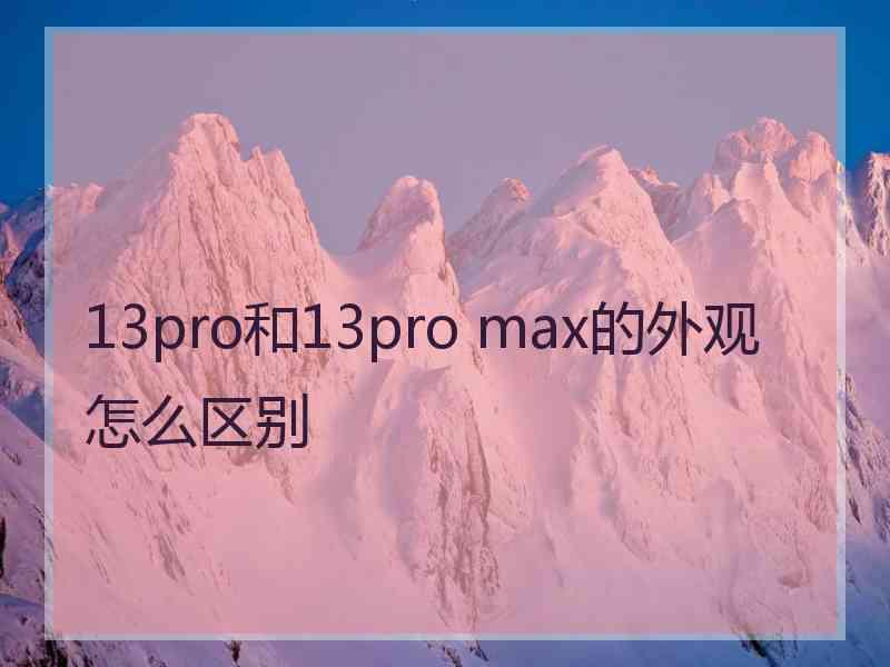 13pro和13pro max的外观怎么区别