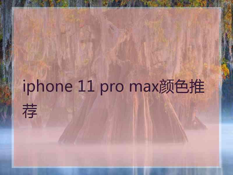 iphone 11 pro max颜色推荐