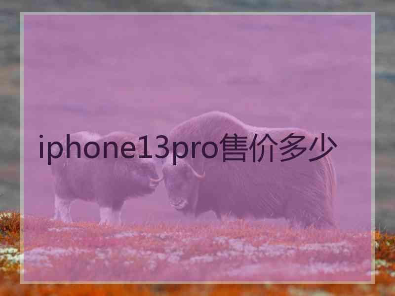 iphone13pro售价多少