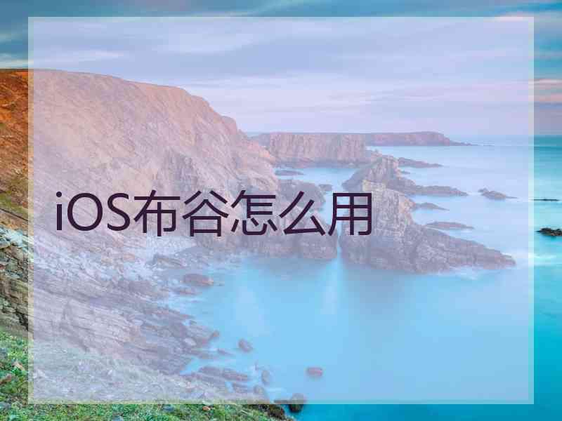 iOS布谷怎么用