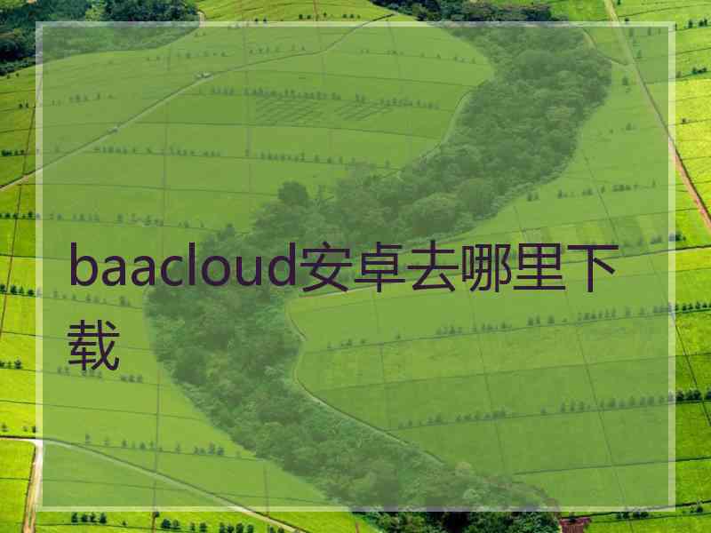 baacloud安卓去哪里下载