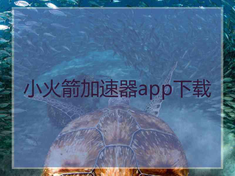 小火箭加速器app下载