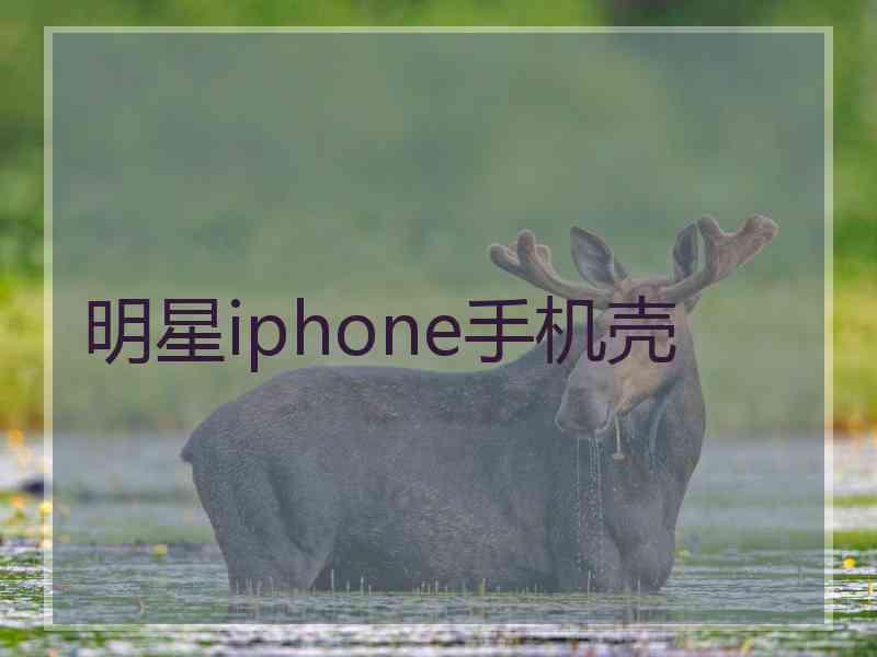 明星iphone手机壳