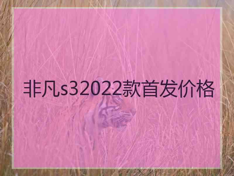 非凡s32022款首发价格