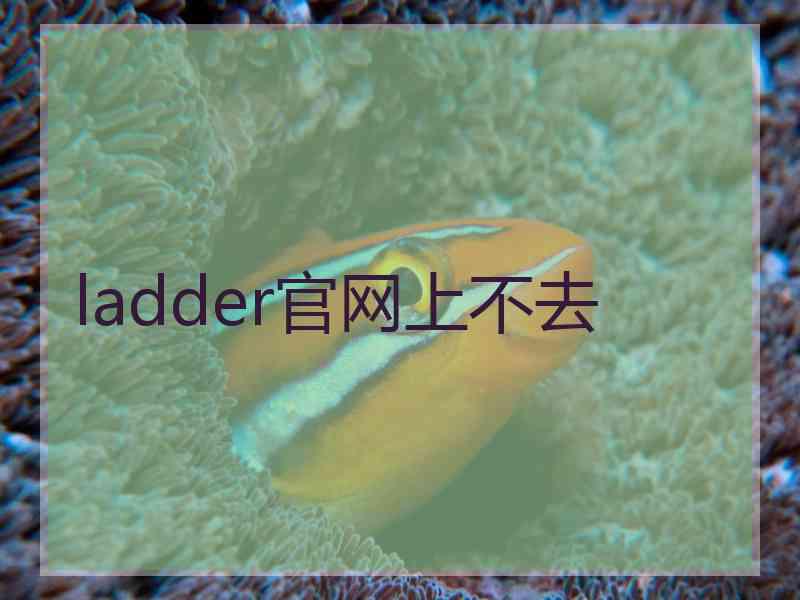 ladder官网上不去