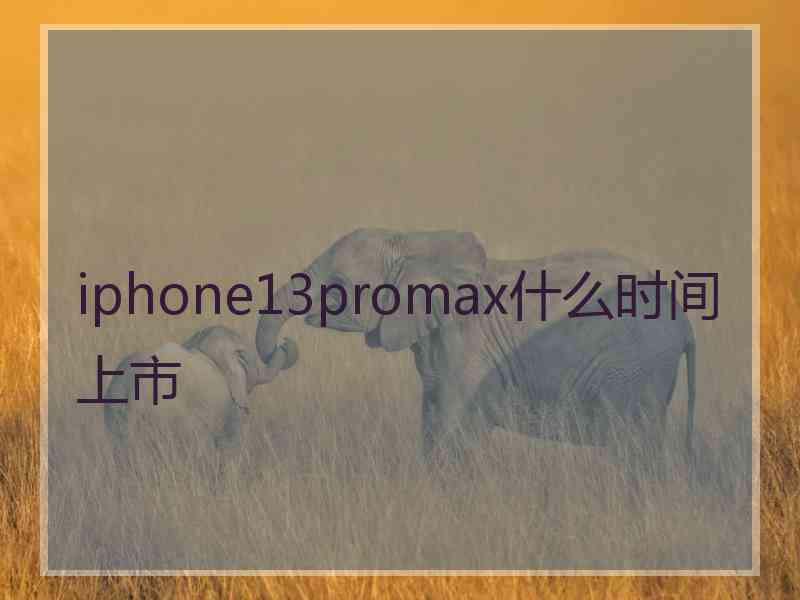 iphone13promax什么时间上市